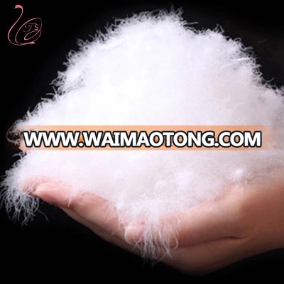 China supplier Fresh washed white natural duck feather down